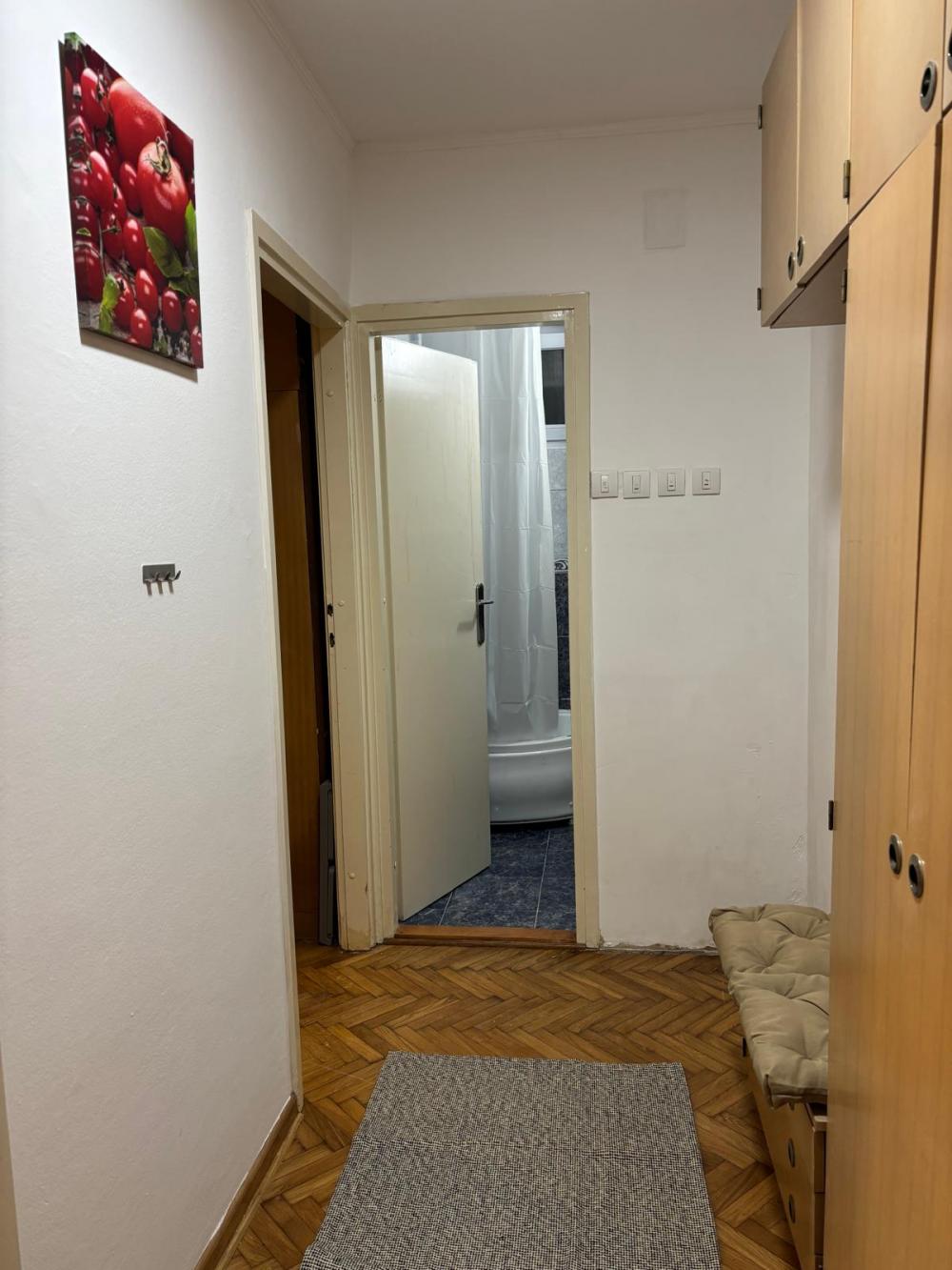 Slika 9 - Mihaila Vukše, Jednoiposoban stan za izdavanje, 30m2, 370€