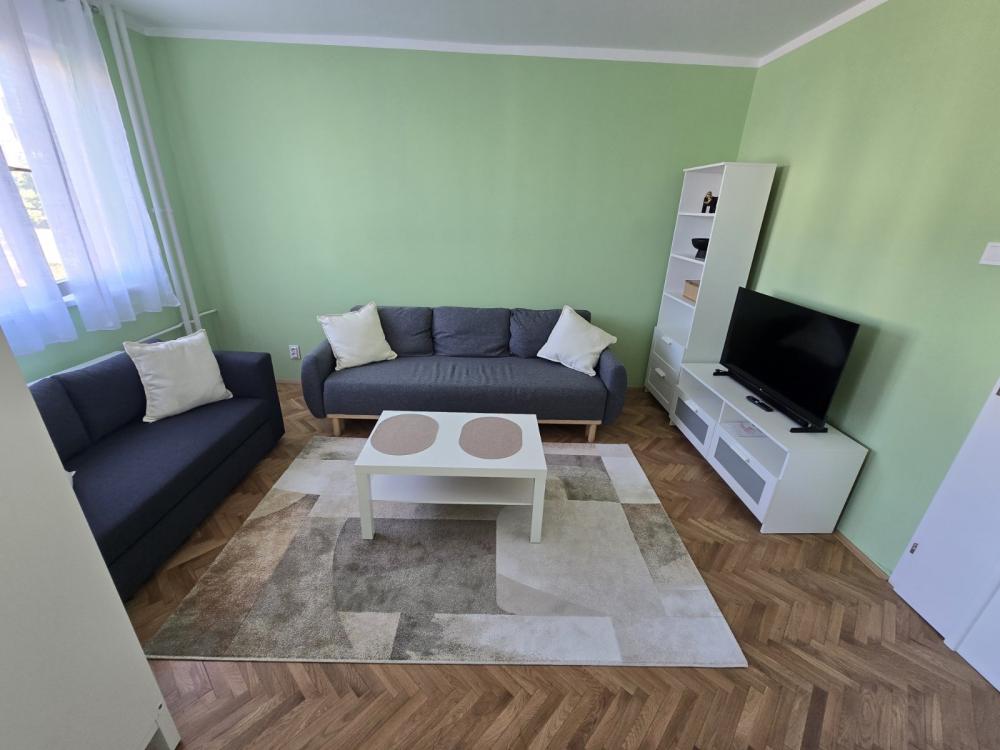 Slika 1 - Dr Ivana Ribara, Jednosoban stan za izdavanje, 37m2, 500€