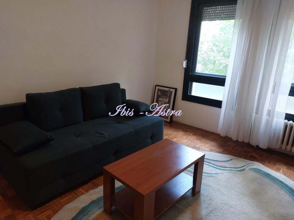 Slika 1 - Radnička, Jednosoban stan za izdavanje, 40m2, 450€