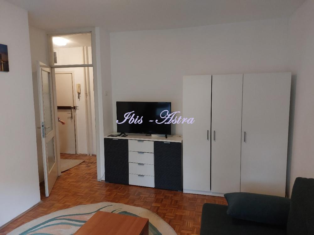 Slika 3 - Radnička, Jednosoban stan za izdavanje, 40m2, 450€