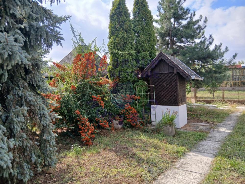 Glavna slika oglasa 418924