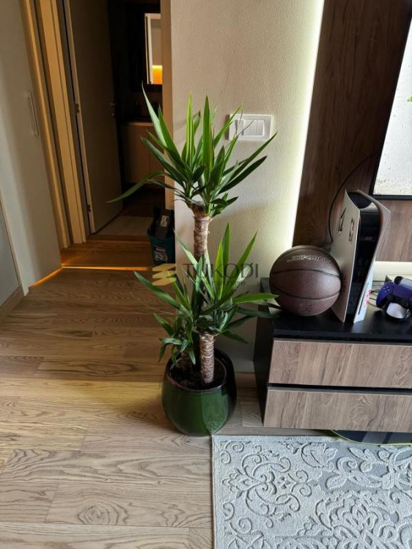 Slika 3 - Dvosoban stan za izdavanje, 56m2, 1.300€