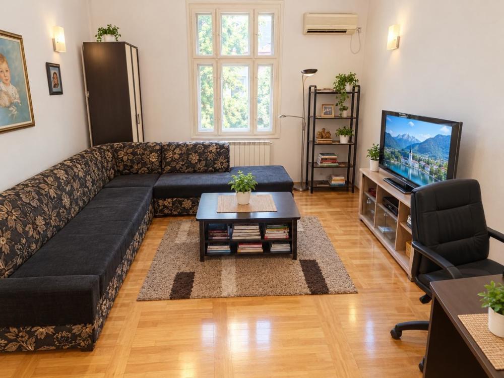 Glavna slika -Mileševska, Dvosoban stan na prodaju, 50m2, 200.000€
