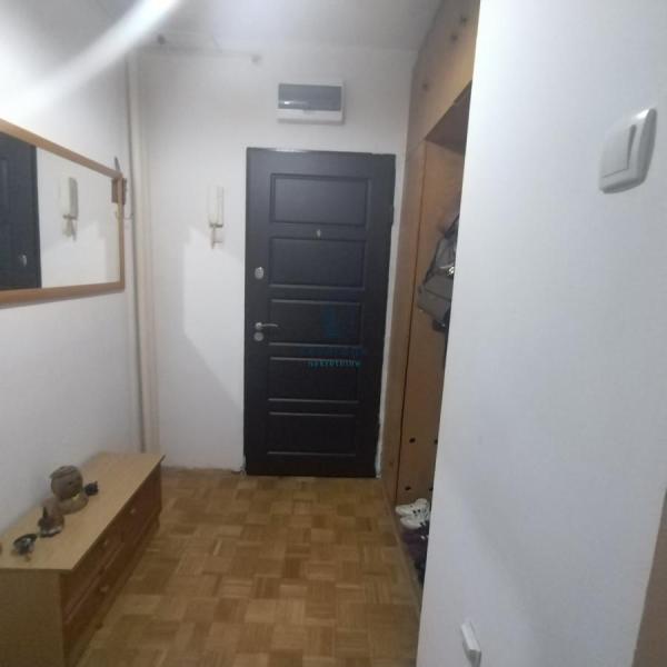 Slika 10 - Matice srpske, Dvosoban stan za izdavanje, 65m2, 550€