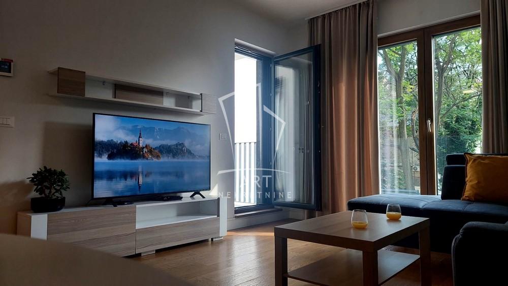Slika 1 - Vojvode Milenka, Dvosoban stan za izdavanje, 55m2, 1.400€