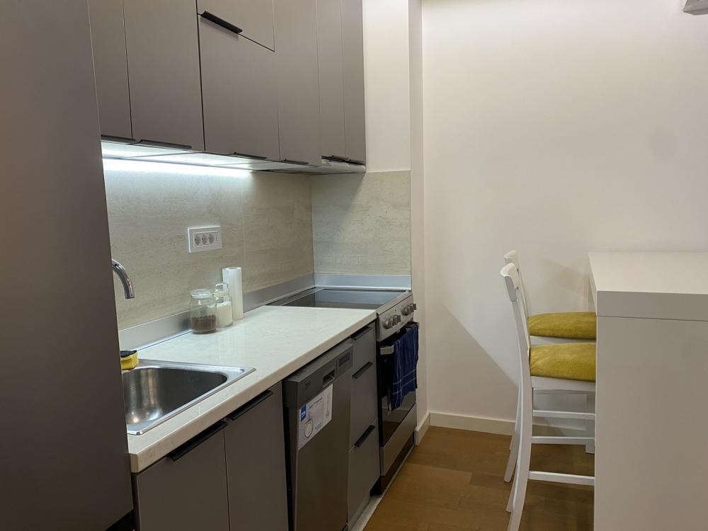 Slika 7 - Vojvode Dobrnjca, Dvosoban stan za izdavanje, 40m2, 900€