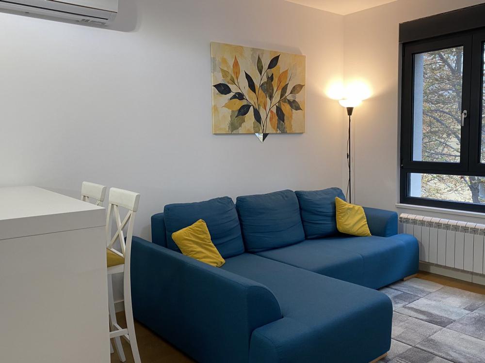 Slika 1 - Vojvode Dobrnjca, Dvosoban stan za izdavanje, 40m2, 900€
