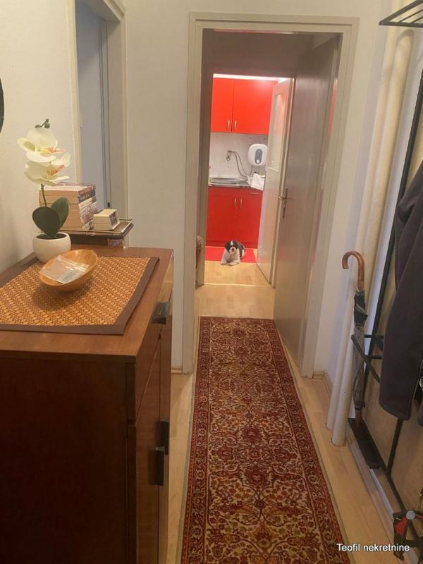 Slika 6 - Bulevar Zorana Đinđića, Jednosoban stan za izdavanje, 41m2, 500€