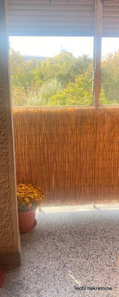 Slika 10 - Bulevar Zorana Đinđića, Jednosoban stan za izdavanje, 41m2, 500€