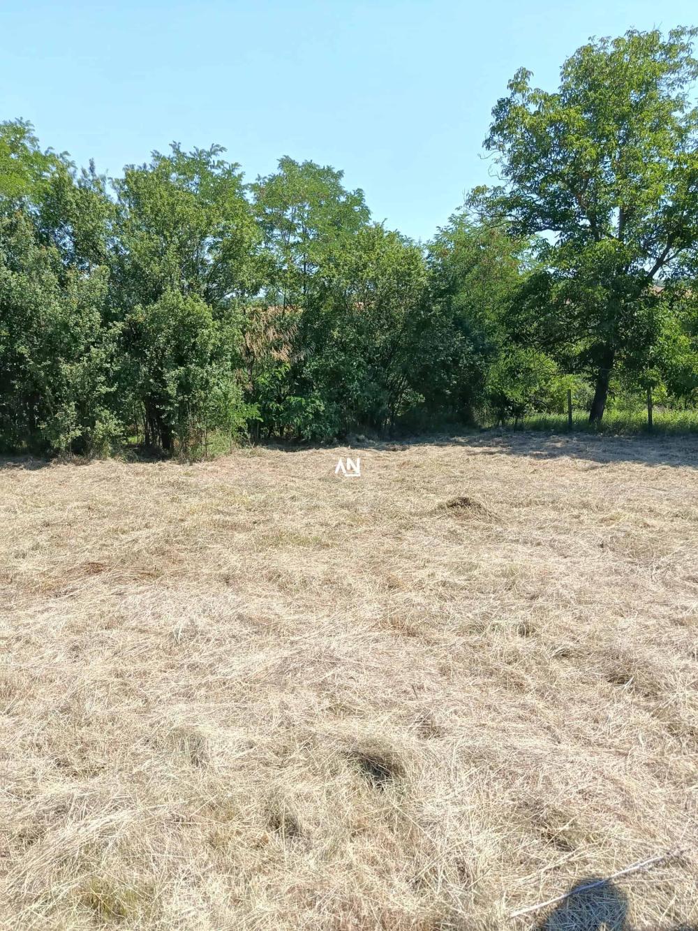 Slika 5 - Dragomira Velikića Plac na prodaju, Sopot, Ropočevo, 35.750€
