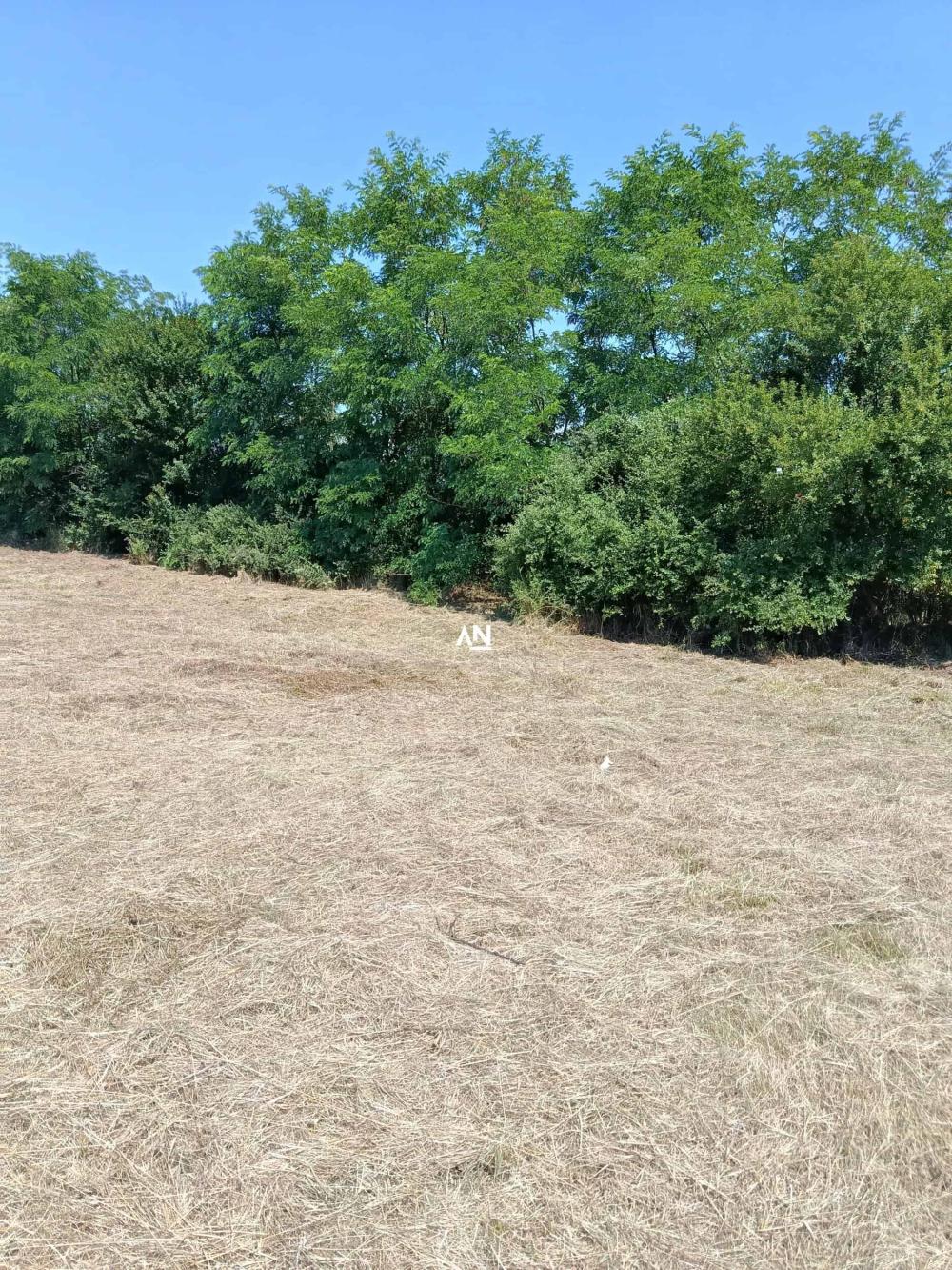 Slika 6 - Dragomira Velikića Plac na prodaju, Sopot, Ropočevo, 35.750€