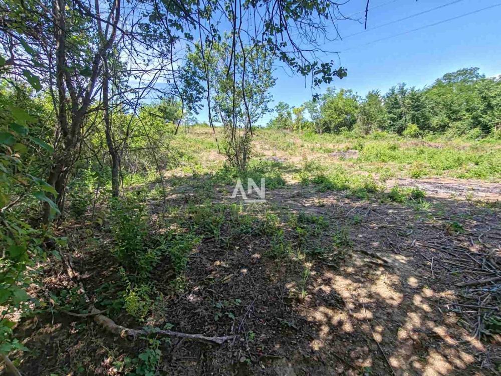 Slika 2 - Gradište Plac na prodaju, Zvezdara, Mirijevo, 450.000€