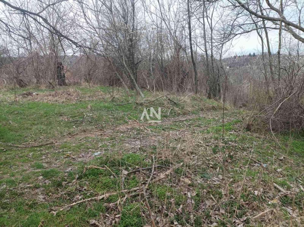 Glavna slika -Andreje Mitrovića Plac na prodaju, Sopot, Trešnja, 130.000€