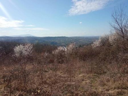 glavna slika oglasa