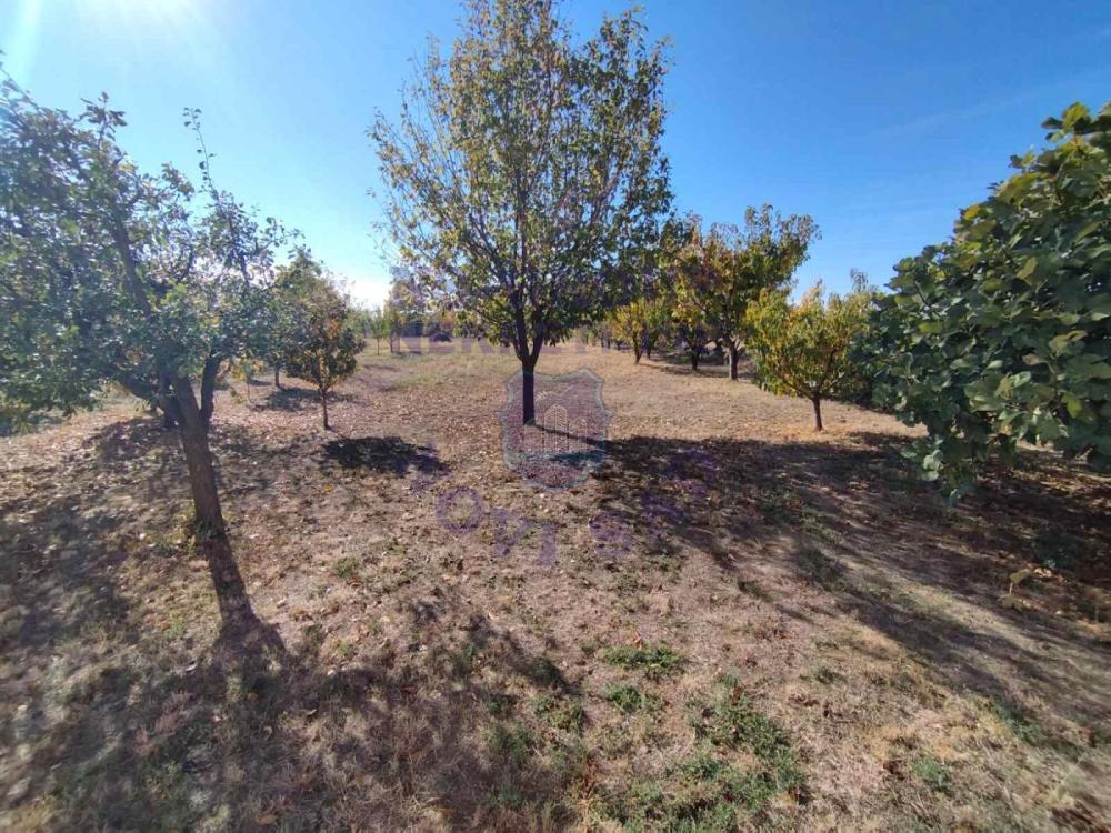 Slika 11 - Čortanovci,  Kuća na prodaju, 92m2, 105.000€