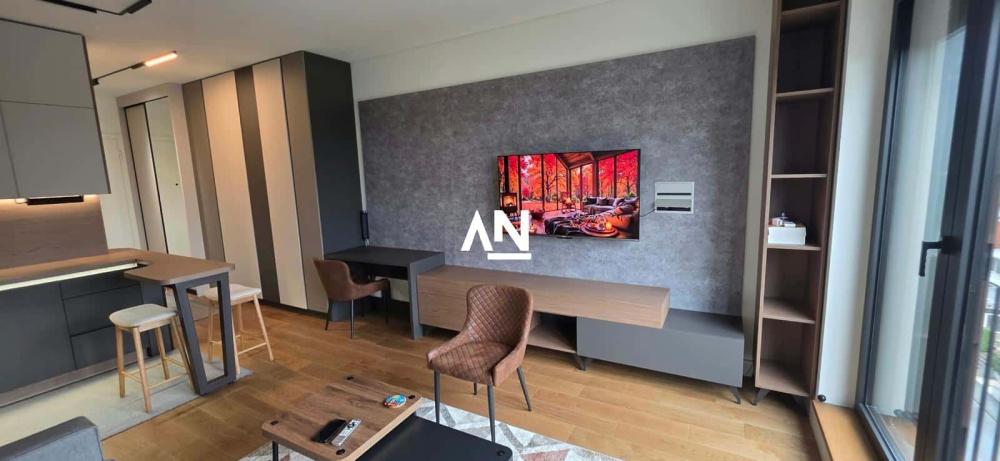 Slika 2 - Đorđa Ognjanovića, Jednosoban stan za izdavanje, 32m2, 850€