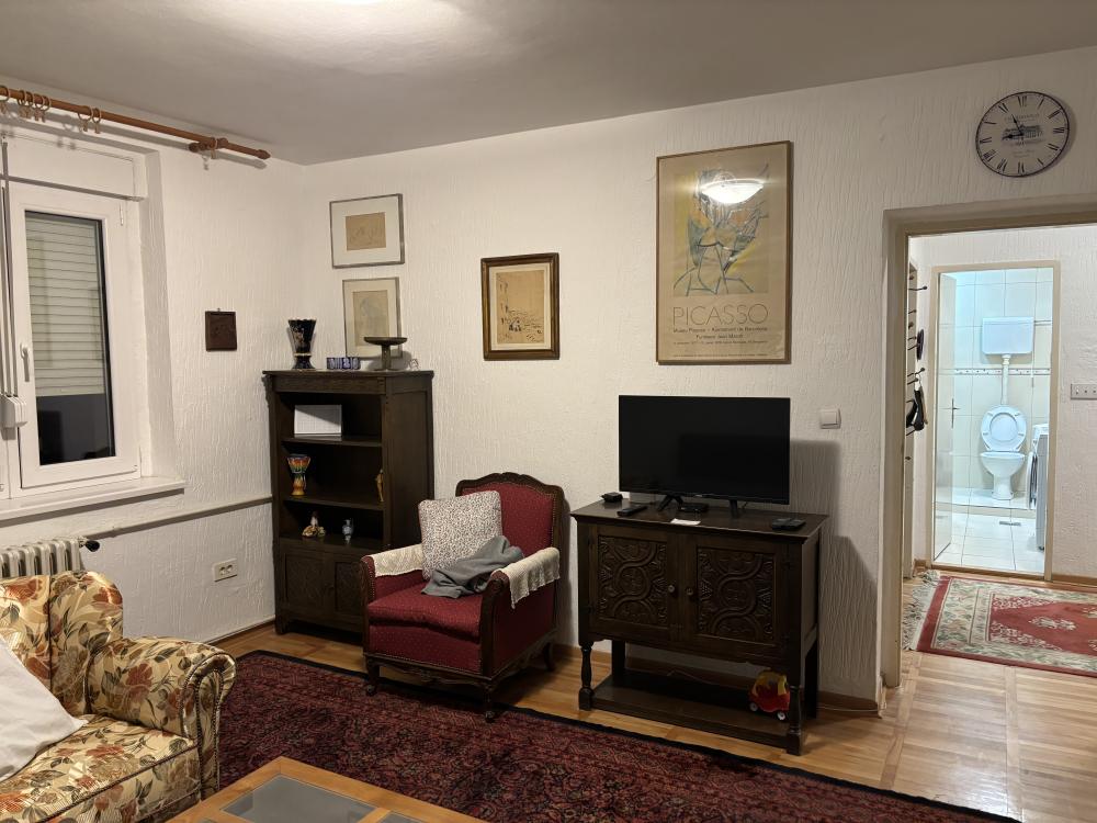 Slika 10 - Svetolika Rankovića, Dvosoban stan za izdavanje, 50m2, 750€