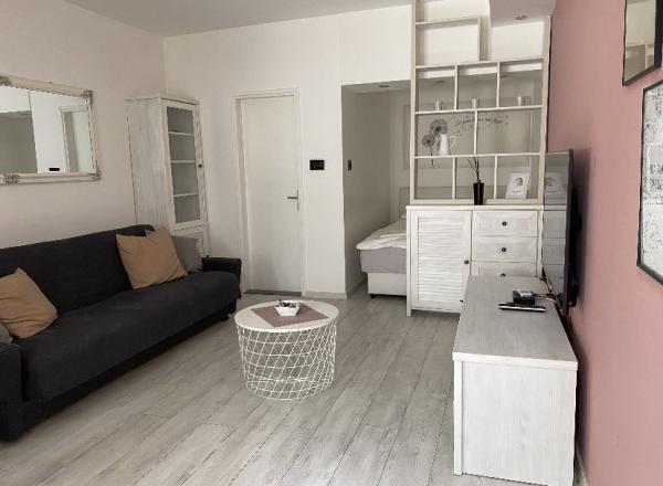 Slika 7 - Nedeljka Čabrinovića 60, Dvosoban stan za izdavanje, 30€