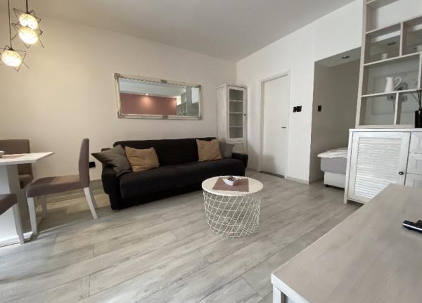 Slika 11 - Nedeljka Čabrinovića 60, Dvosoban stan za izdavanje, 30€