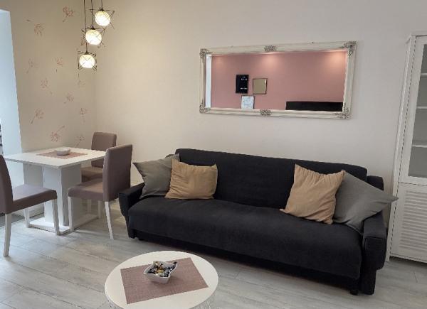 Slika 4 - Nedeljka Čabrinovića 60, Dvosoban stan za izdavanje, 30€