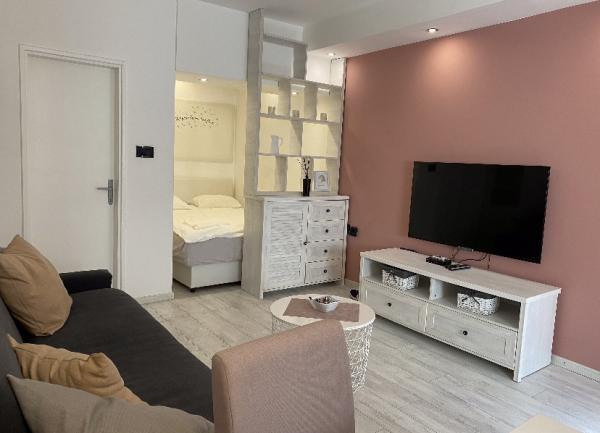 Slika 2 - Nedeljka Čabrinovića 60, Dvosoban stan za izdavanje, 30€