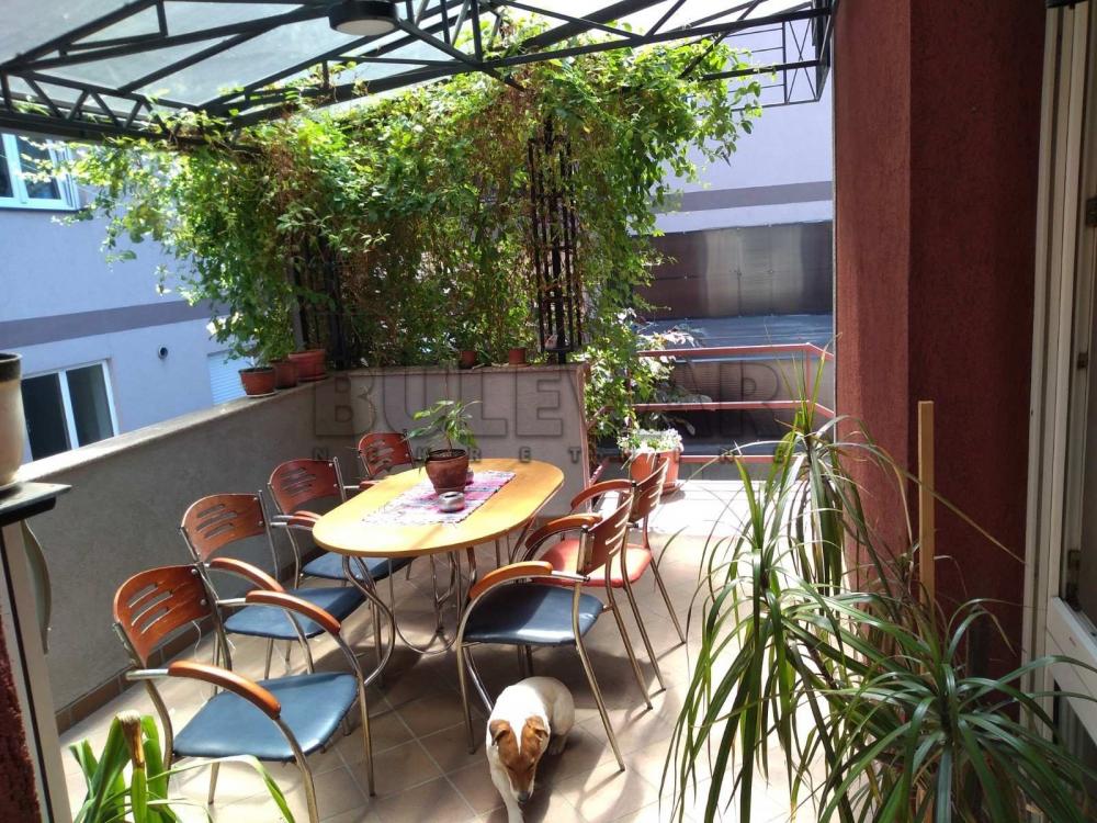 Slika 3 - Jug Bogdanova,  Kuća na prodaju, 450m2, 500.000€